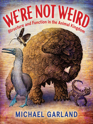 cover image of We're Not Weird